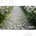 Tło fotograficzne Wiosna E515
